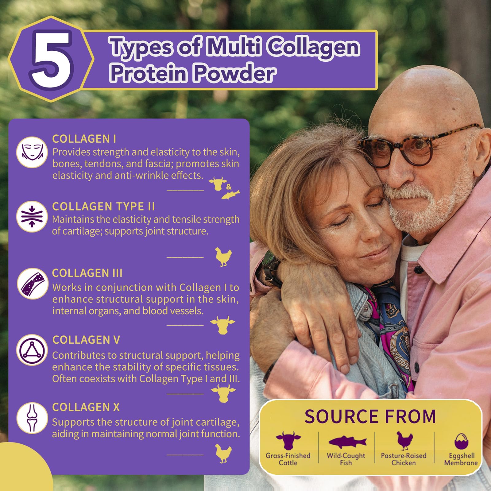 Zammex Multi Collagen Peptides, 5 Types of Hydrolyzed Collagen Unflavored Protein Powder, 60 Serving, Premium Grass-Fed Beef, Chicken, Wild Fish, Eggshell, Keto & Paleo Friendly, Easy Mix