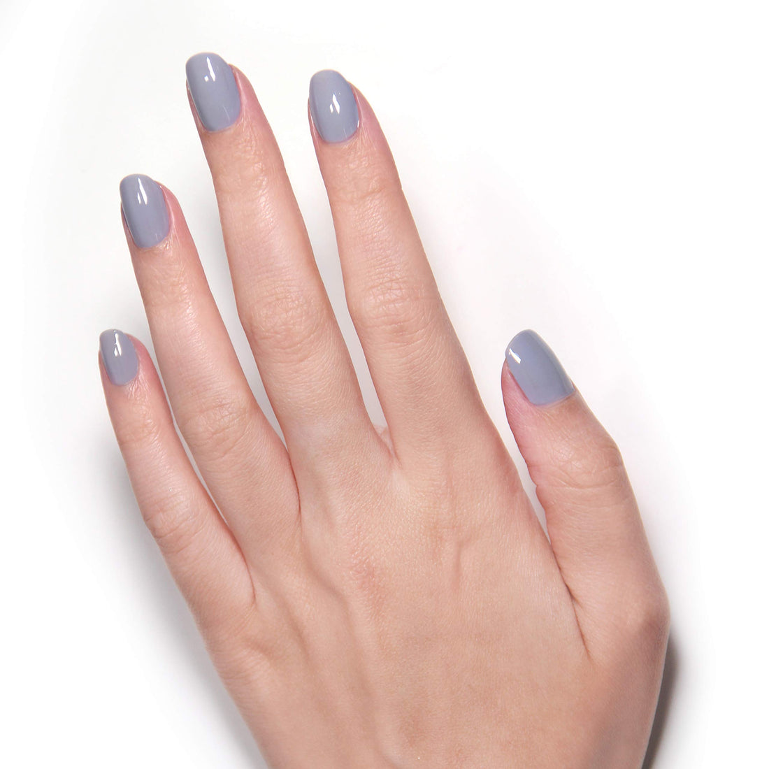 LONDONTOWN Silver Birch Lakur Enhanced color