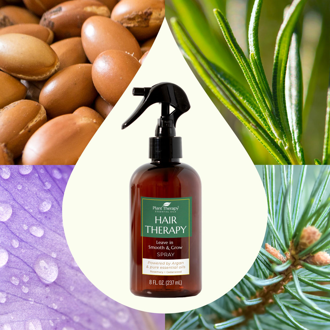 Plant Therapy Hair Therapy Leave In Smooth & Grow Spray 8 oz Smooth, Soften & Detangle, Paraben & Synthetic Fragrance Free