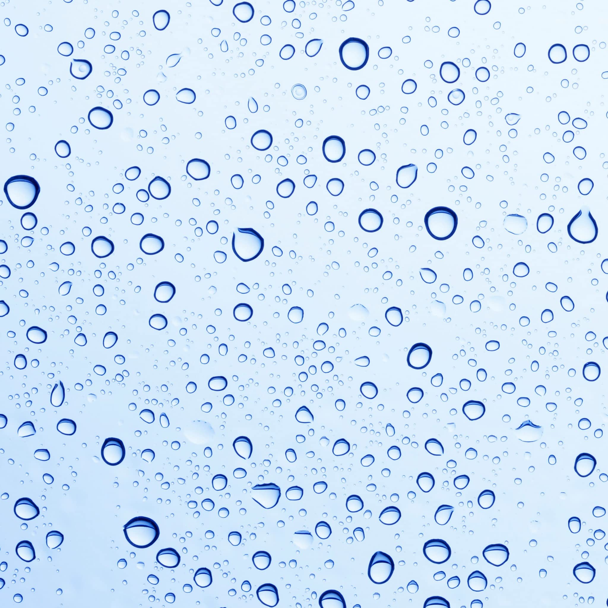 SUNDÃRI Omega 3 and Raspberry Tonic Water