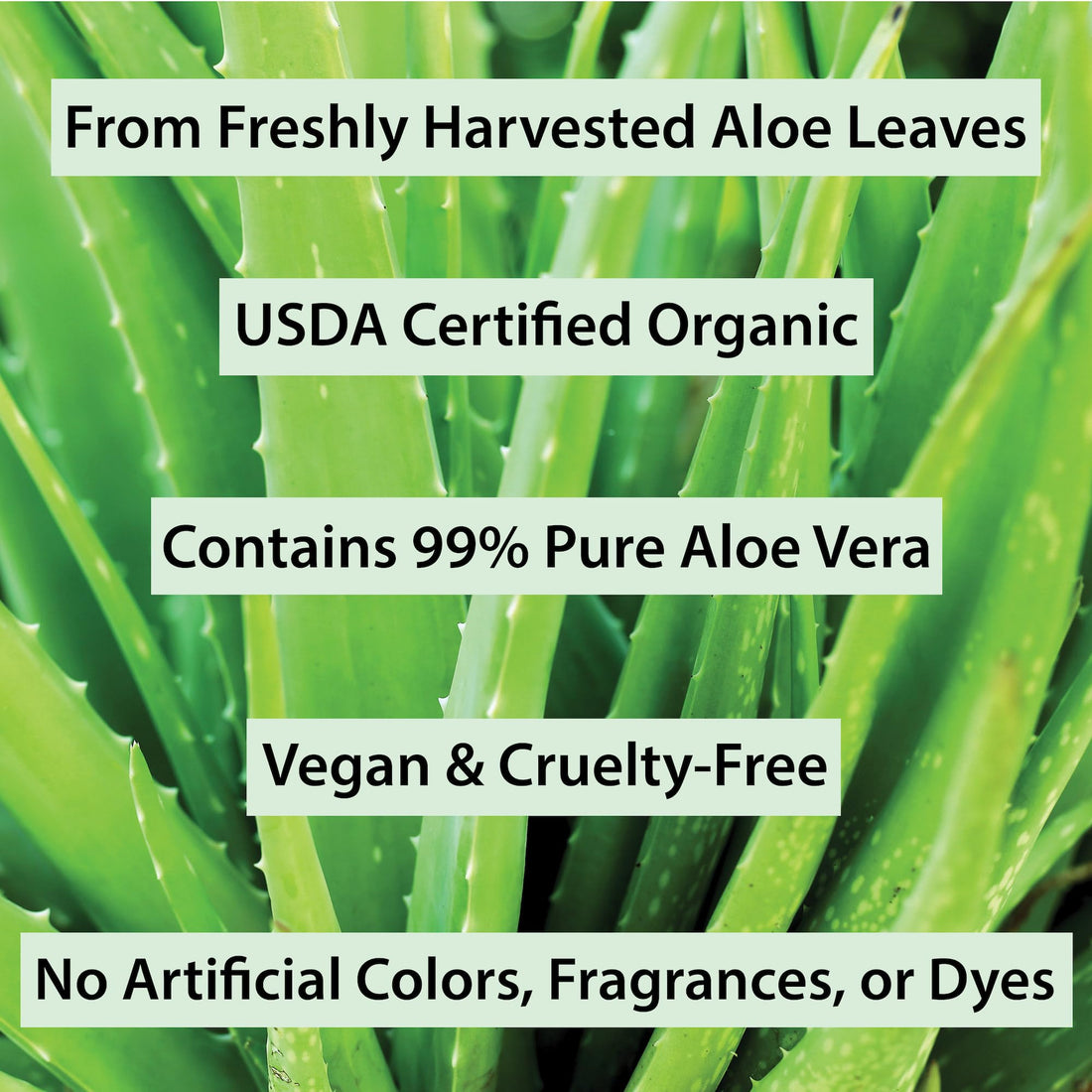 USDA Organic Aloe Vera Gel - For Face, Body, Hair - 100% Pure, After Sun Care