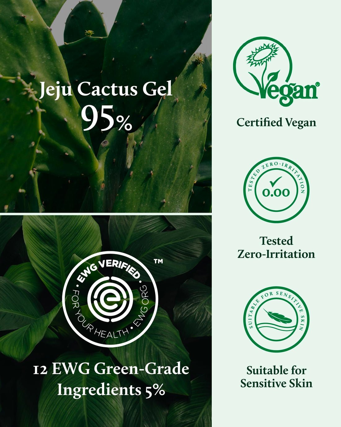 YADAH Cactus Soothing Gel (8.45fl oz) - Sunburn Relief, Calm, Cool & Soothe Irritated Skin, Face Redness. Korean Skin Care. 95% Cactus Extract, Vegan.