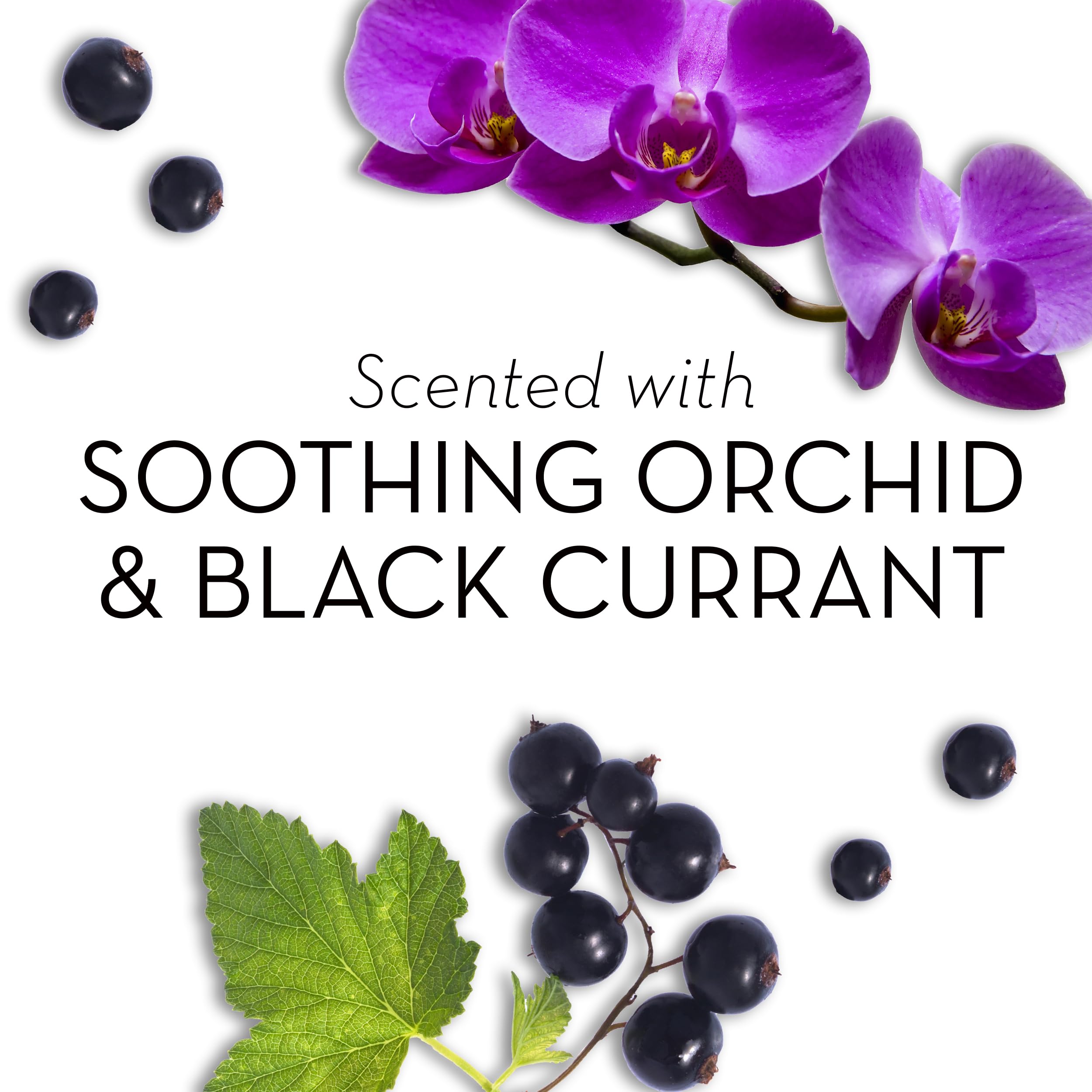 Soothing Orchid & Black Currant : Olay Fresh Outlast Soothing Orchid & Black Currant Body Wash 22 oz, (4 Count)