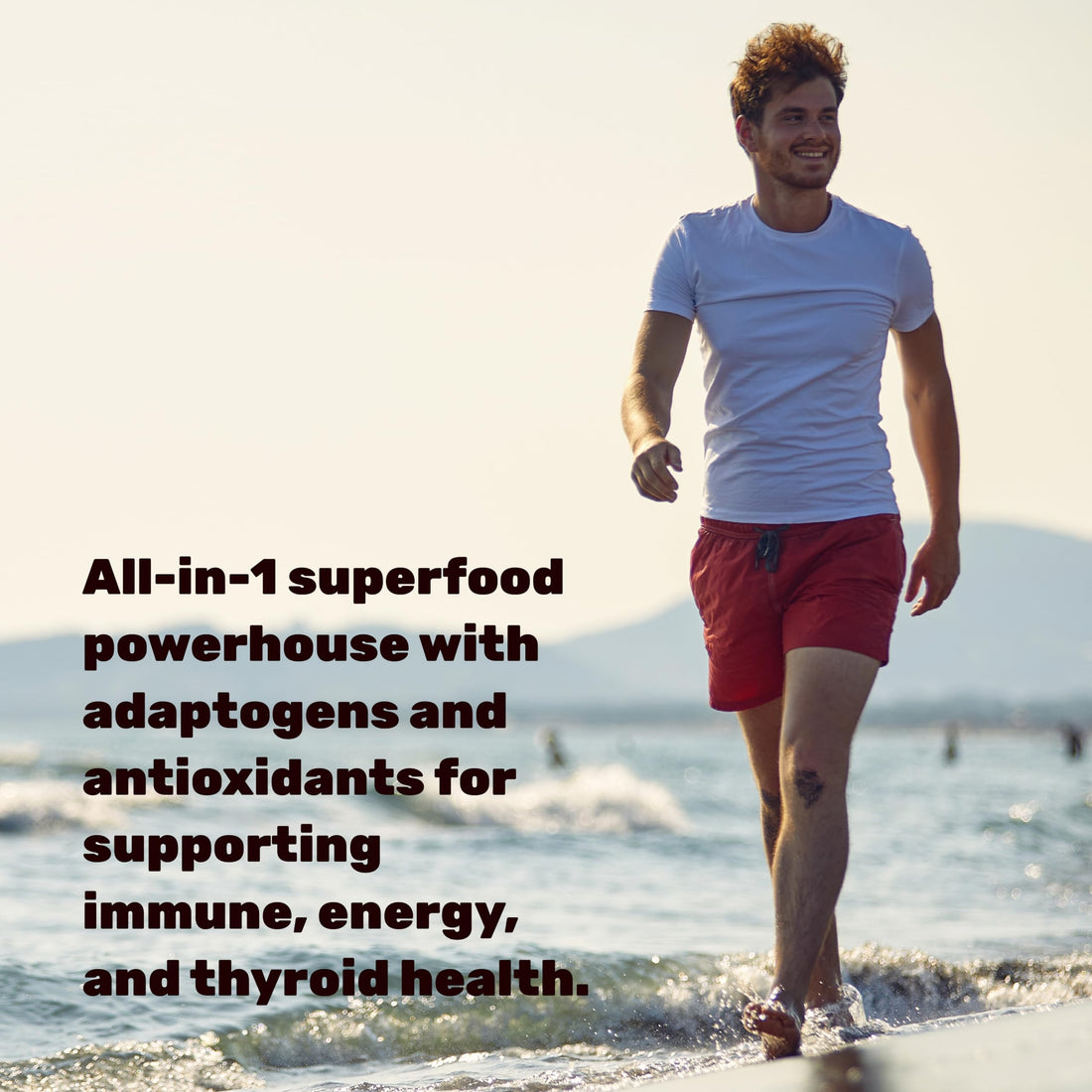 DEAL SUPPLEMENT Irish Sea Moss 7000mg Per Serving, 240 Veggie Capsules – 14 Superfood Complex – 3000mg Black Seed Oil, 2000mg Ashwagandha, 600mg Ginger