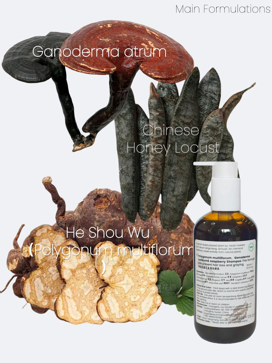 Joy Garden He Shou Wu Fo-ti Polygonum multiflorum Reishi Mushroom Soapberry herbal foaming Shampoo natural fragrance Anti-Hair Loss Prevents Graying Natural Ingredients, TCM Formula