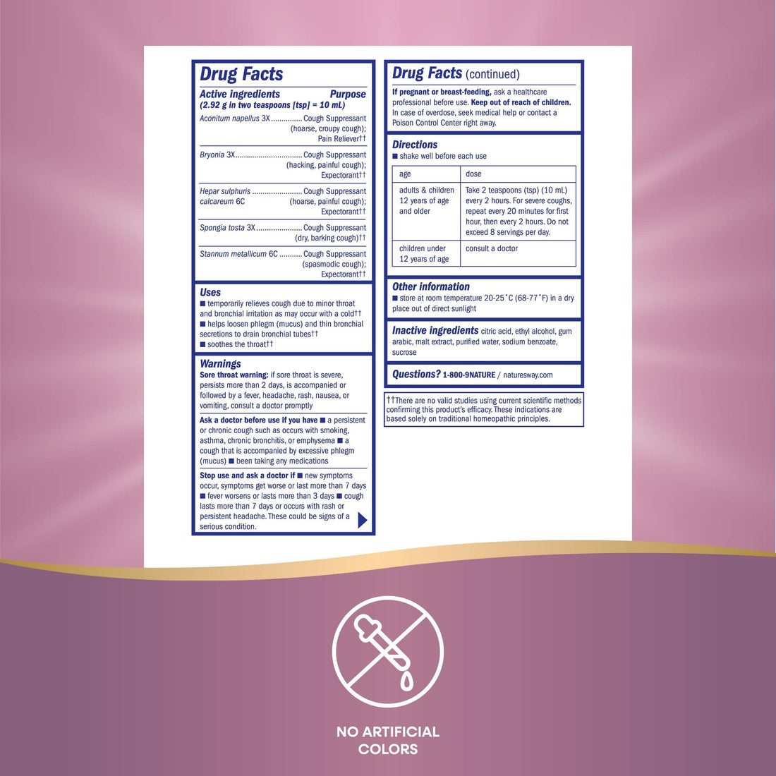 Nature's Way Boericke & Tafel Daytime Cough & Bronchial Syrup, Cough Suppressant & Expectorant, Non-Drowsy, 8 Fl. Oz