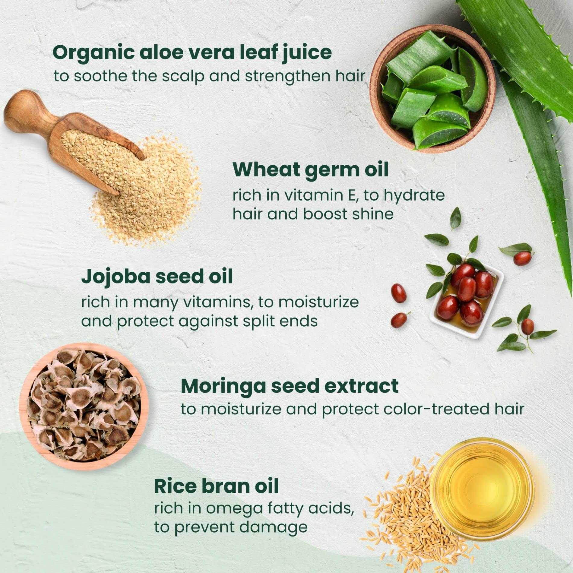 Herbatint Royal Cream Conditioner - With Aloe Vera, Jojoba Oil & Wheat Germ - Enhances Color, Softness & Shine - No Parabens, Sulfates, Gluten - 8.79 fl oz