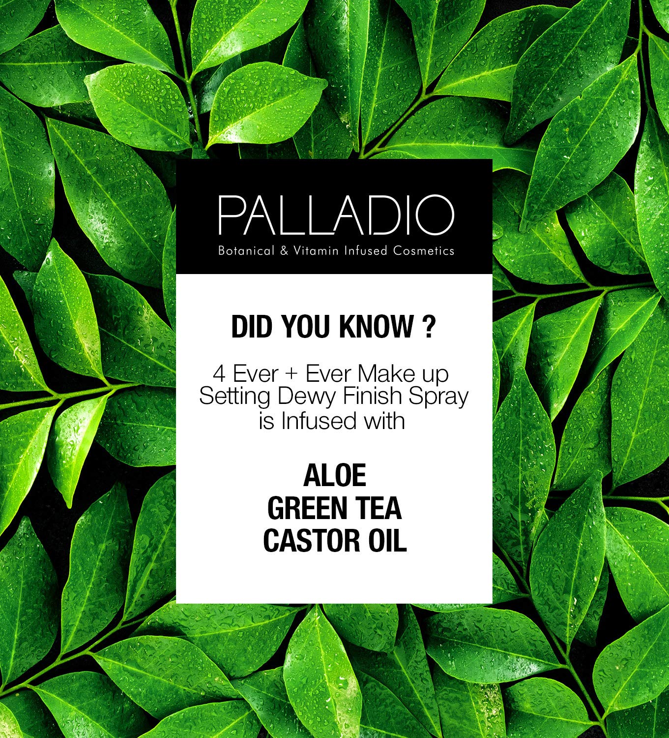 Palladio Beauty 4 EVER + EVER MAKE UP SETTING MATTE FINISH SPRAY MATTE 3.4 fl oz, 1 count, 100 ml