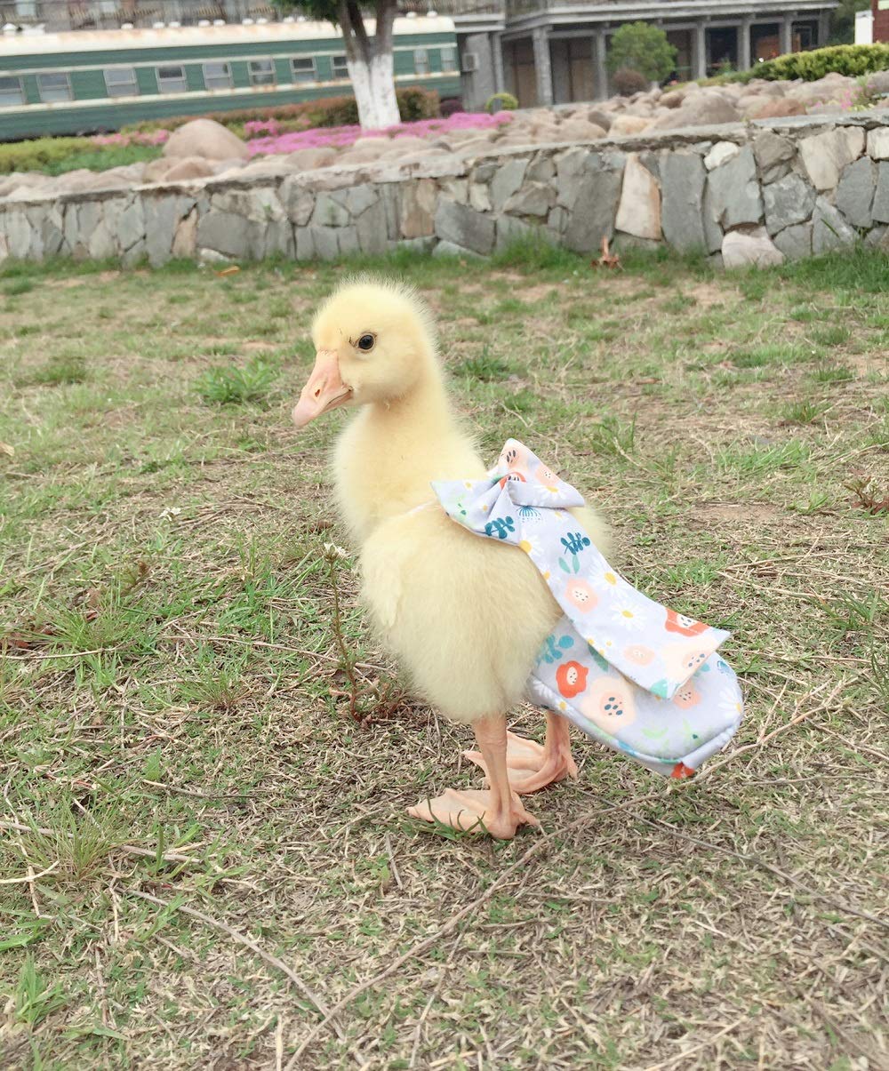 Duck Diapers, Chicken Diapers, Special Diapers for Poultry, Chicken, Duck and Goose Waterproof, Adjustable, Washable and Reusable Diapers,Poultry Supplies, Duck Supplies (S:100-200)