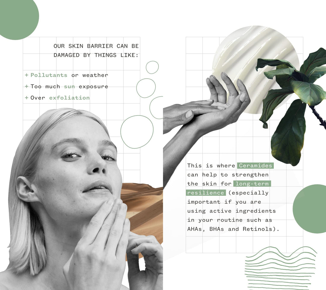 Pai Skincare Instant Calm Redness Serum - Sea Aster & Wild Oat