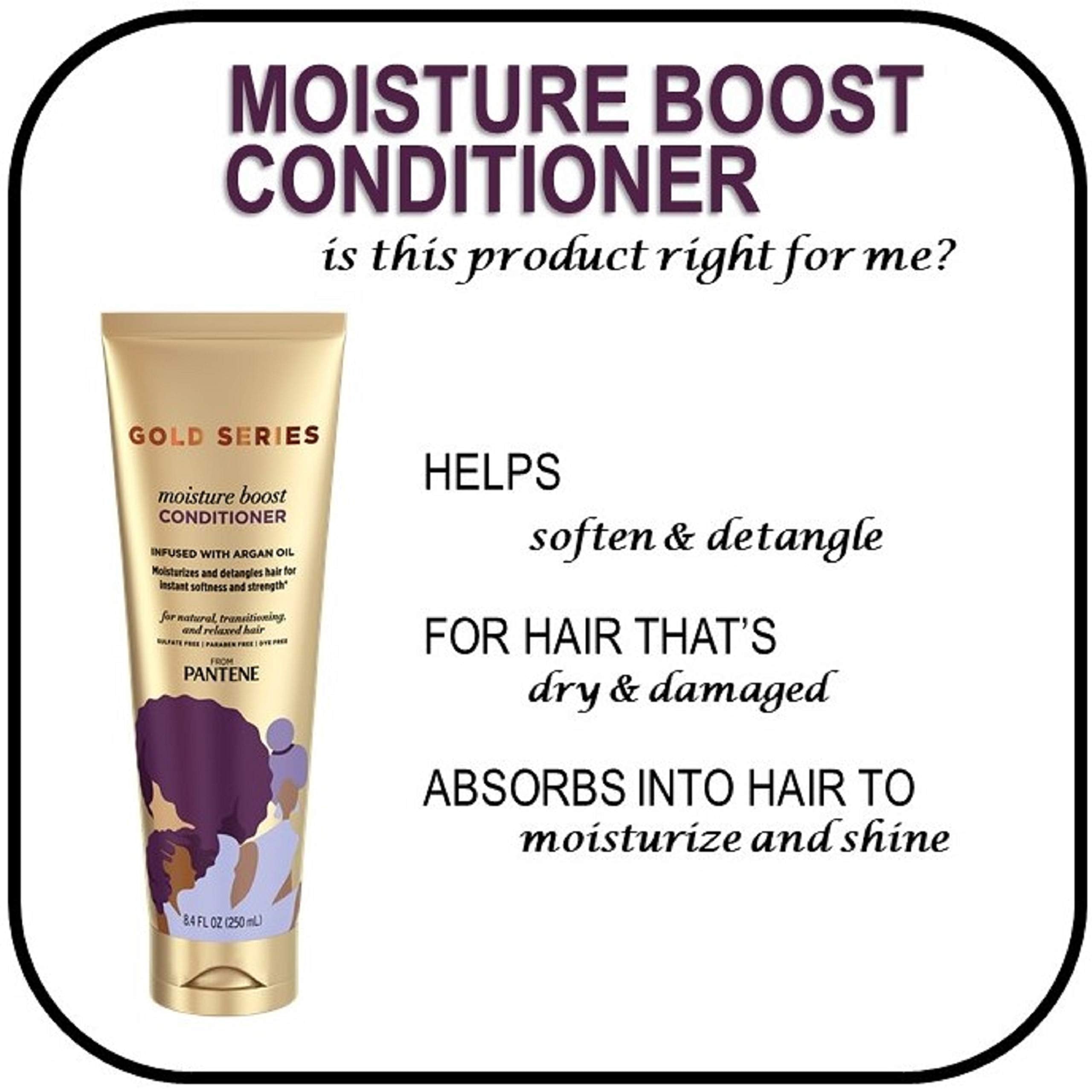 Moisture Boost Conditioner : Pantene Pro-V Gold Series Moisture Boost Conditioner, 8.4 Fluid Ounce (Pack of 12) for African American, Ethnic and Curly Hair Care