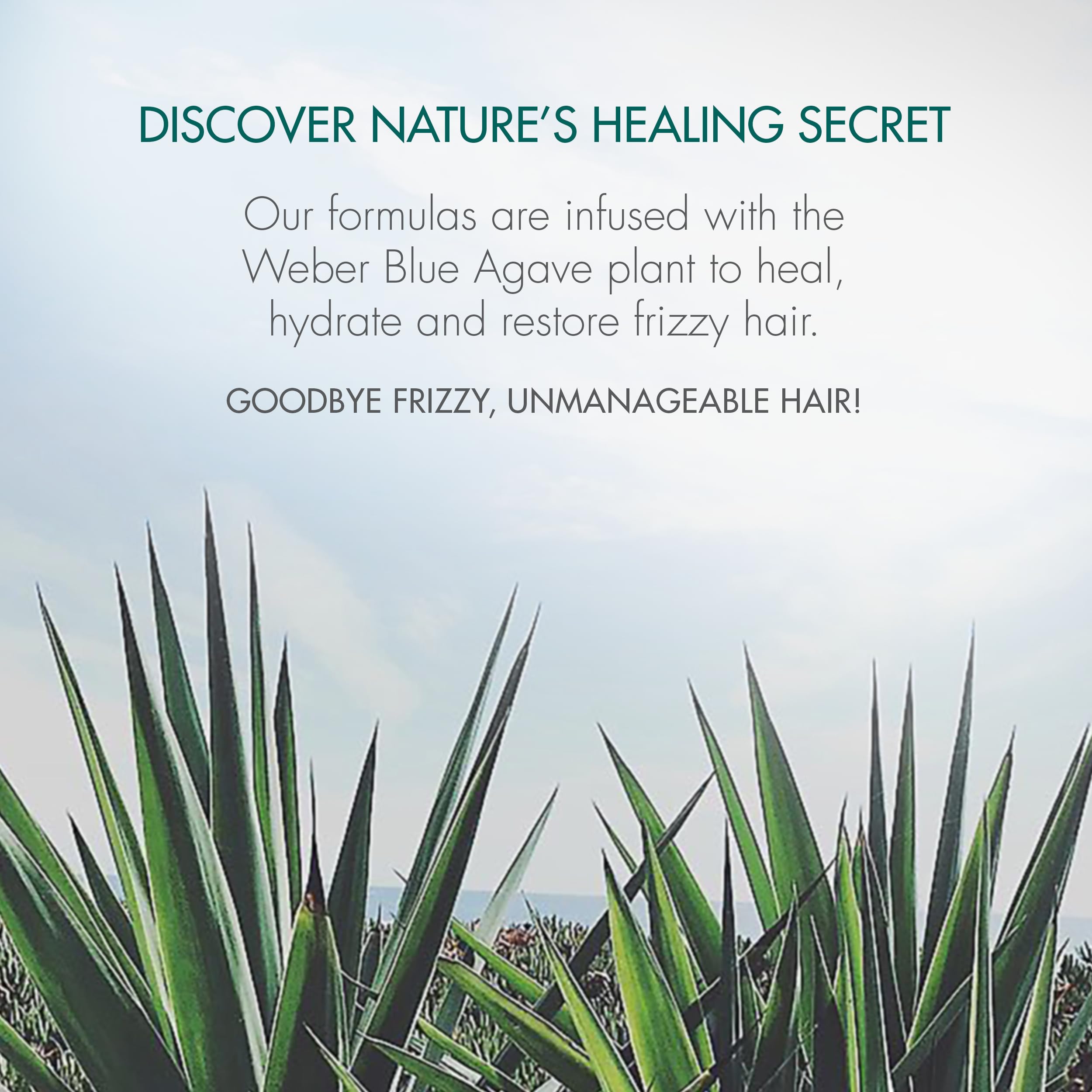 Bio-Ionic Agave Healing Oil Treatment, 4.0 fl. oz.