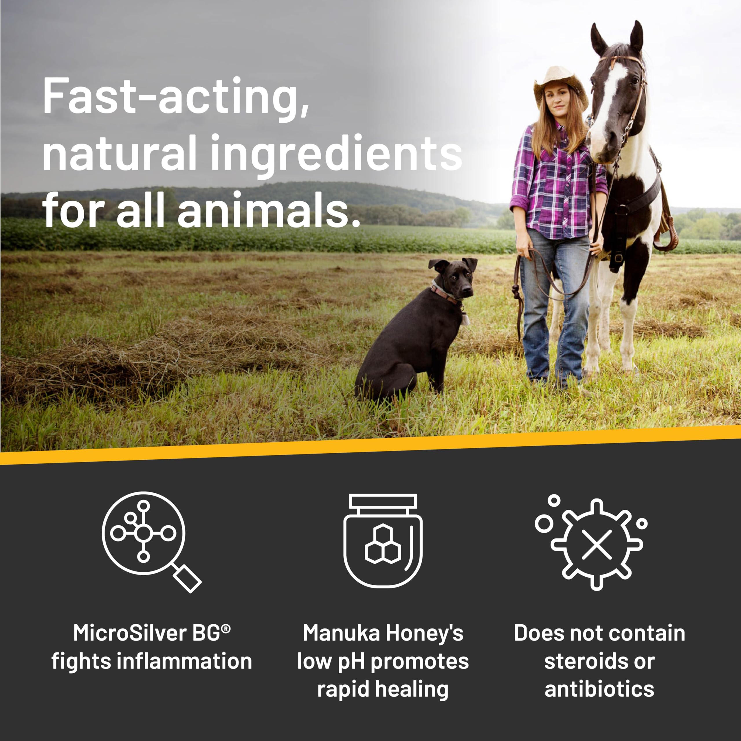 Absorbine Silver Honey Rapid Skin Relief Medicated Shampoo, Medical Grade Manuka Honey & MicroSilver BG, Rejuvenating, Soothing & Hydrating, 16 fl oz