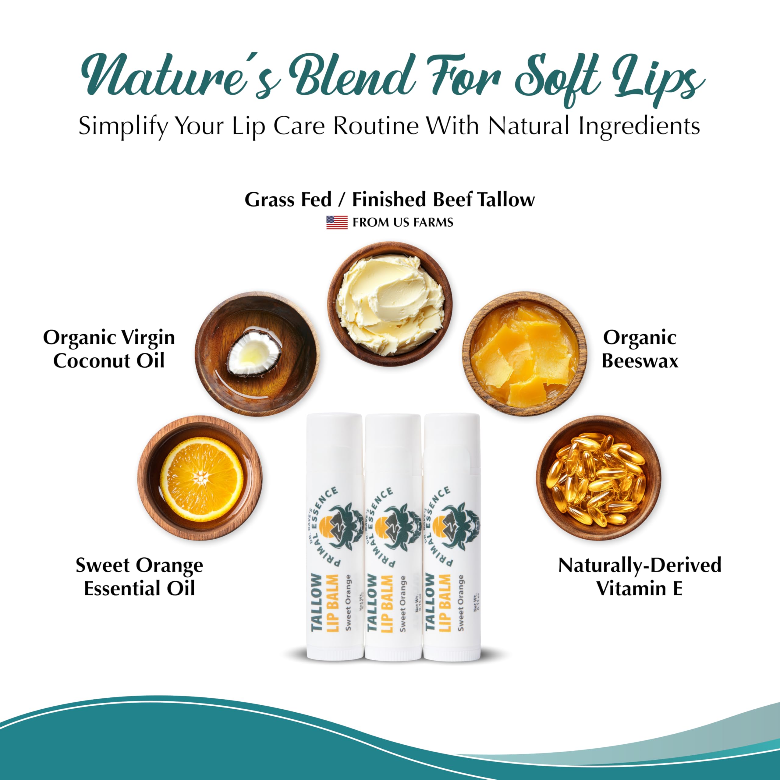 Moisturizing Tallow Lip Balm – Grass-Fed Beef Tallow with Organic Coconut Oil, Beeswax, and Vitamin E – Sweet Orange – Lip Balm Set – Travel Essential – 3-Pack