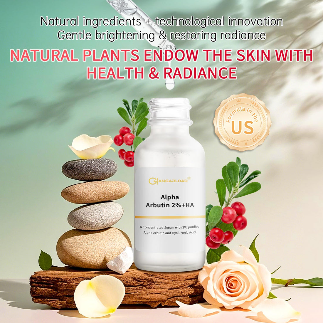Alpha Arbutin 2% Serum for Dark Spots, Acne Scars, Pore Minimizer, Hydration & Removing Pigmentation - Hyaluronic Acid Serum, 1 Pcs 30 ML- 1 Fl Oz