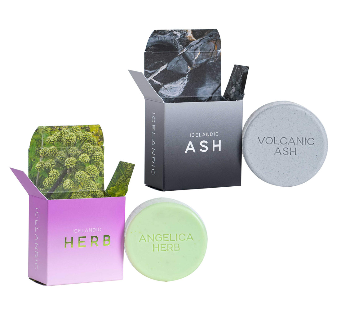 Kalastyle Exfoliating Bars of Soap From Natural Ingredients, Assorted Scents - Icelandic Volcanic Ash and Angelica Herb, Set of 2, 4.3 Ounce Each