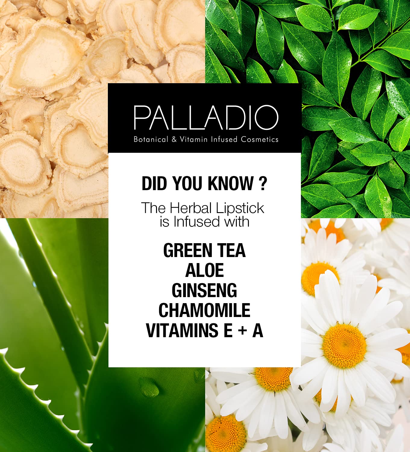 Palladio Beauty Matte Lipstick - Rich Pink, Long Lasting Lip Shade with Creamy Smooth Finish and Velvet Luxe Look - Lady Rose Color (3.7 g)