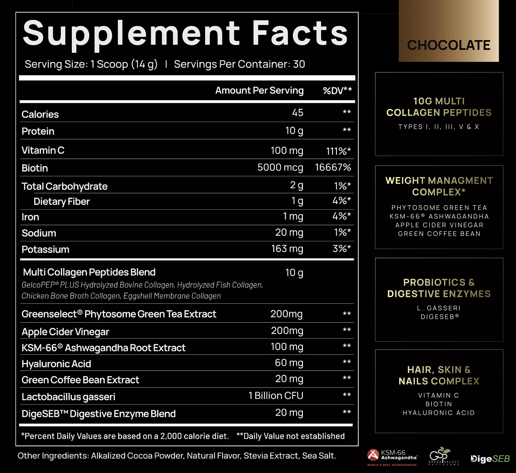 ELMNT Premium Chocolate Collagen for Women Weight Loss & Beauty w. Probiotics, ACV, KSM66, Hyaluronic Acid, Biotin & Patented Multi Collagen Peptides Protein Powder - Colageno Hidrolizado for Women