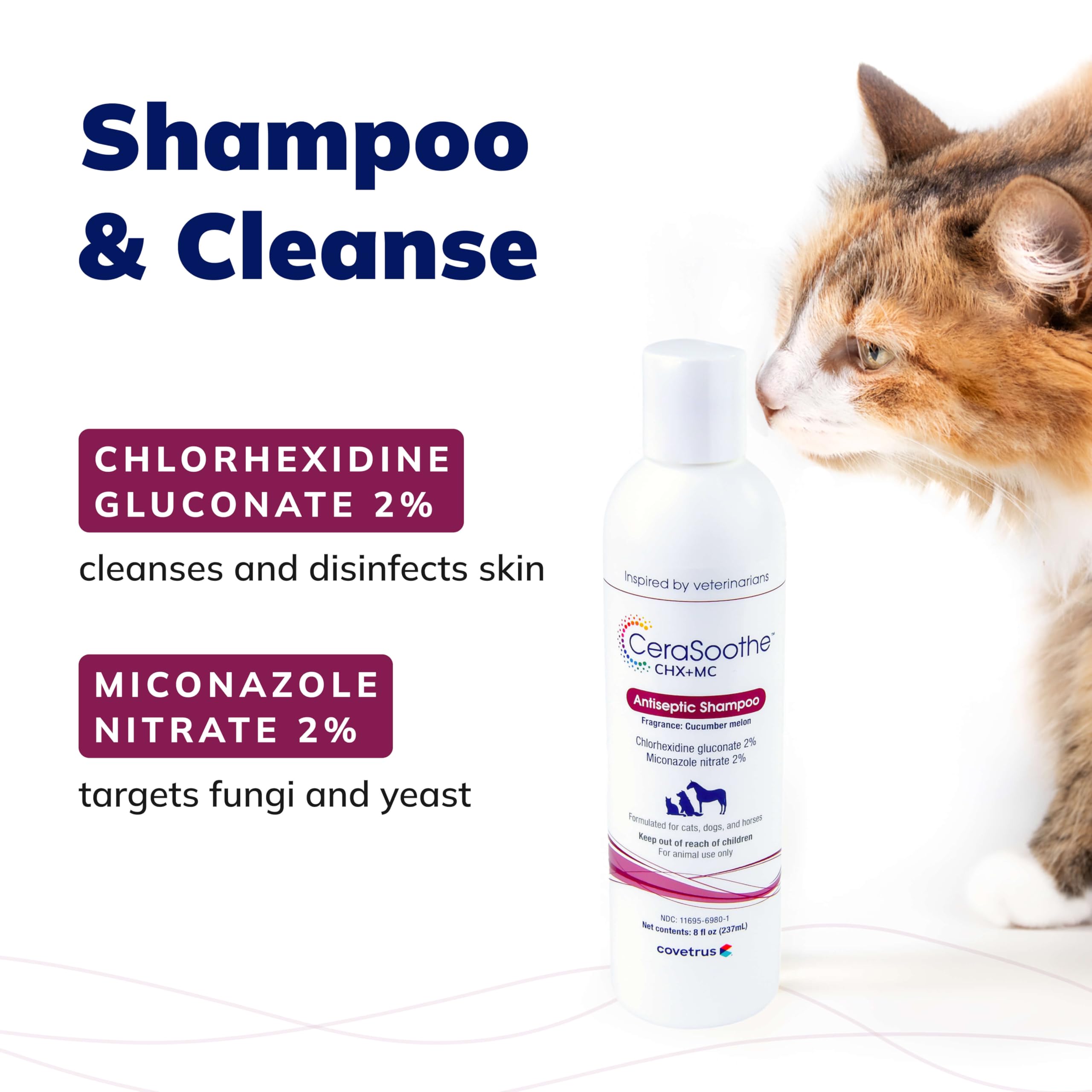 CeraSoothe® CHX+MC Antiseptic Shampoo 8oz