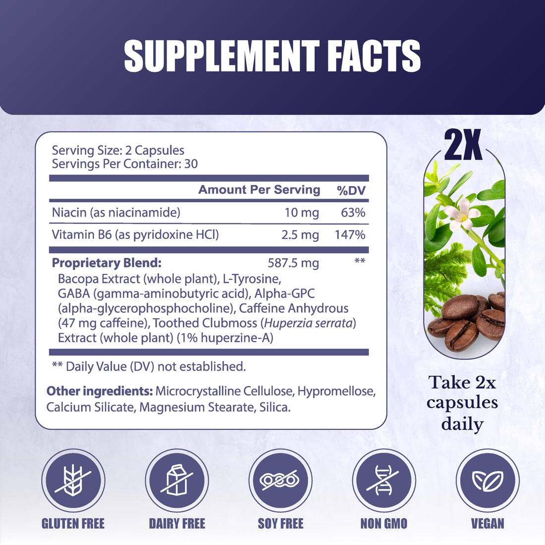 NATION HEALTH MD Cognilux - Brain Supplements for Memory and Focus - Nootropic Focus Supplement with Niacin, Vitamin B6, GABA and More - Memory Supplement for Brain, Brain Health, 60 Capsules