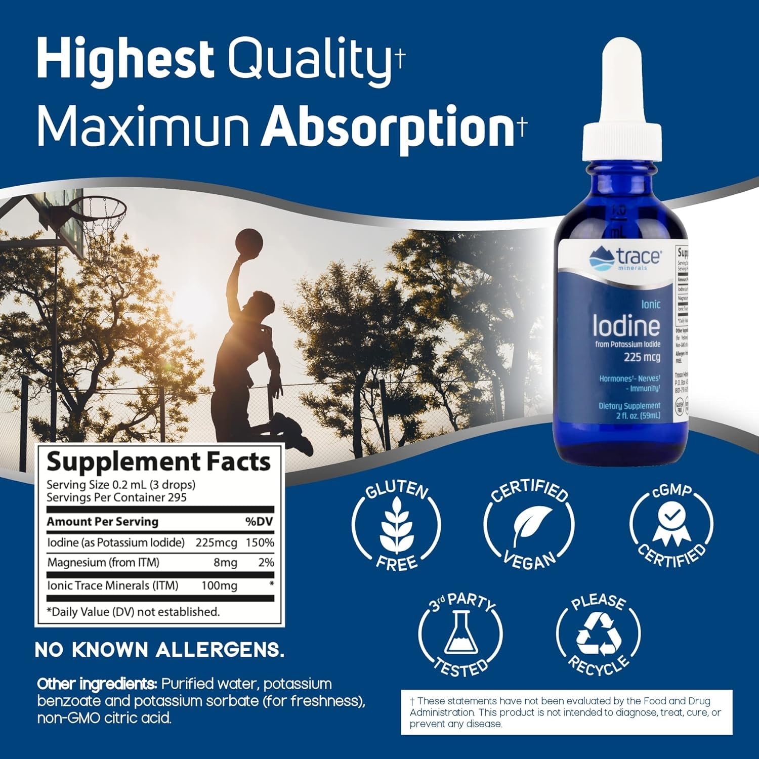 Trace Minerals Ionic Iodine 225 mcg - Gel Supplement to Support Immune System & Thyroid Health - Iodine Drops with Magnesium - Supports Healthy Nervous System - 2 fl oz (295 Servings)