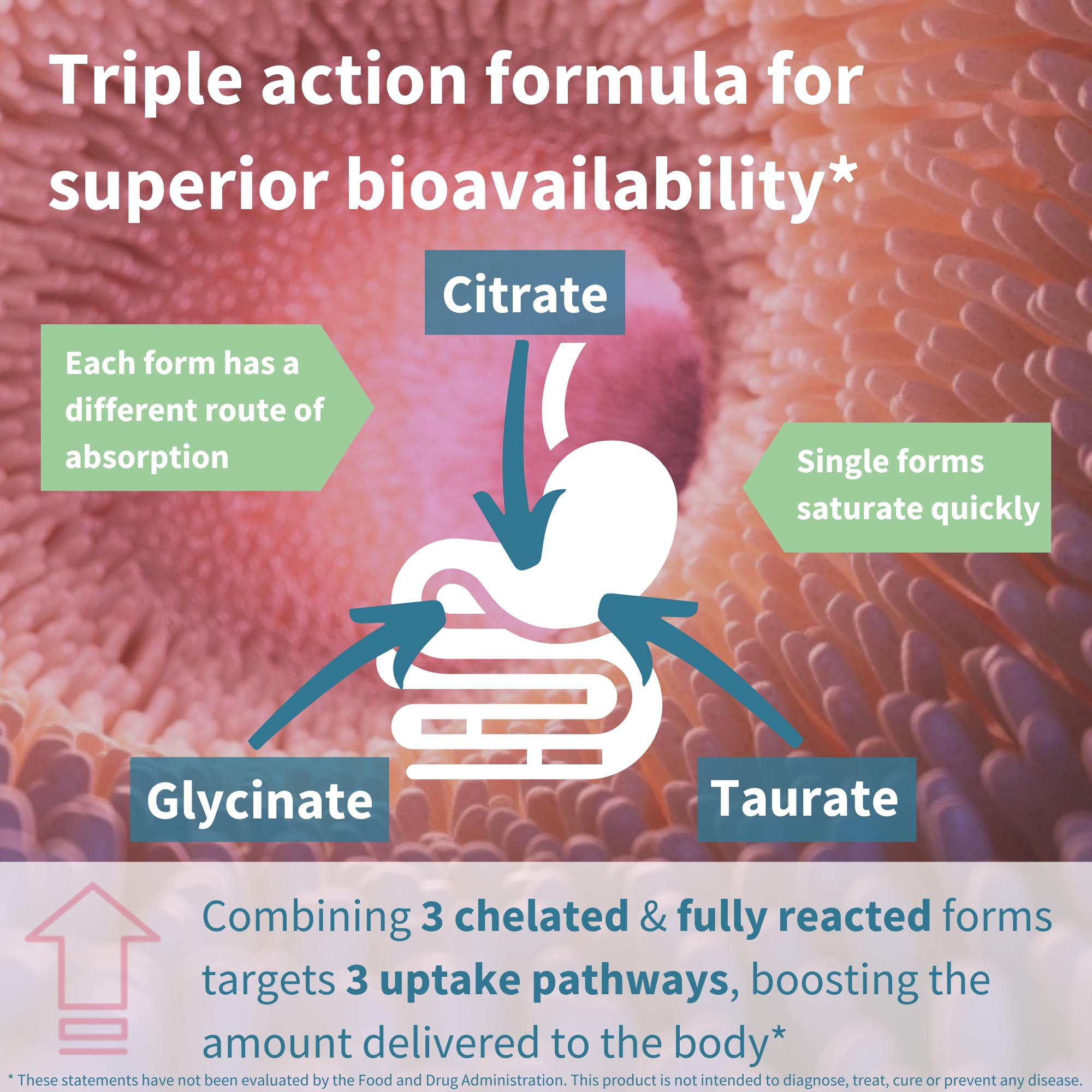 Igennus Advanced Triple Magnesium Complex, Fully Reacted & Chelated Glycinate, Taurate & Citrate, Clean Label, High Bioavailability & Absorption, 180 Tablets, Vegan, Non-Buffered