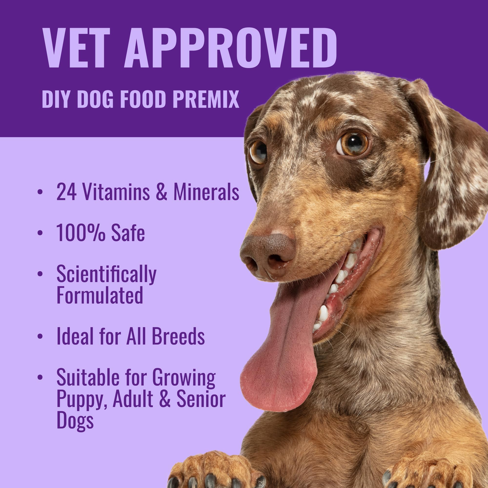 Dog Vitamins Supplements Raw and Homemade Dog Food Multivitamins Minerals Powder 1lb Veggie Flavor