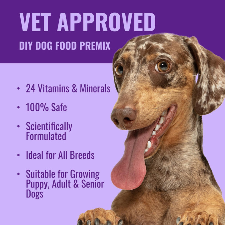 Dog Vitamins Supplements Raw and Homemade Dog Food Multivitamins Minerals Powder 1lb Veggie Flavor