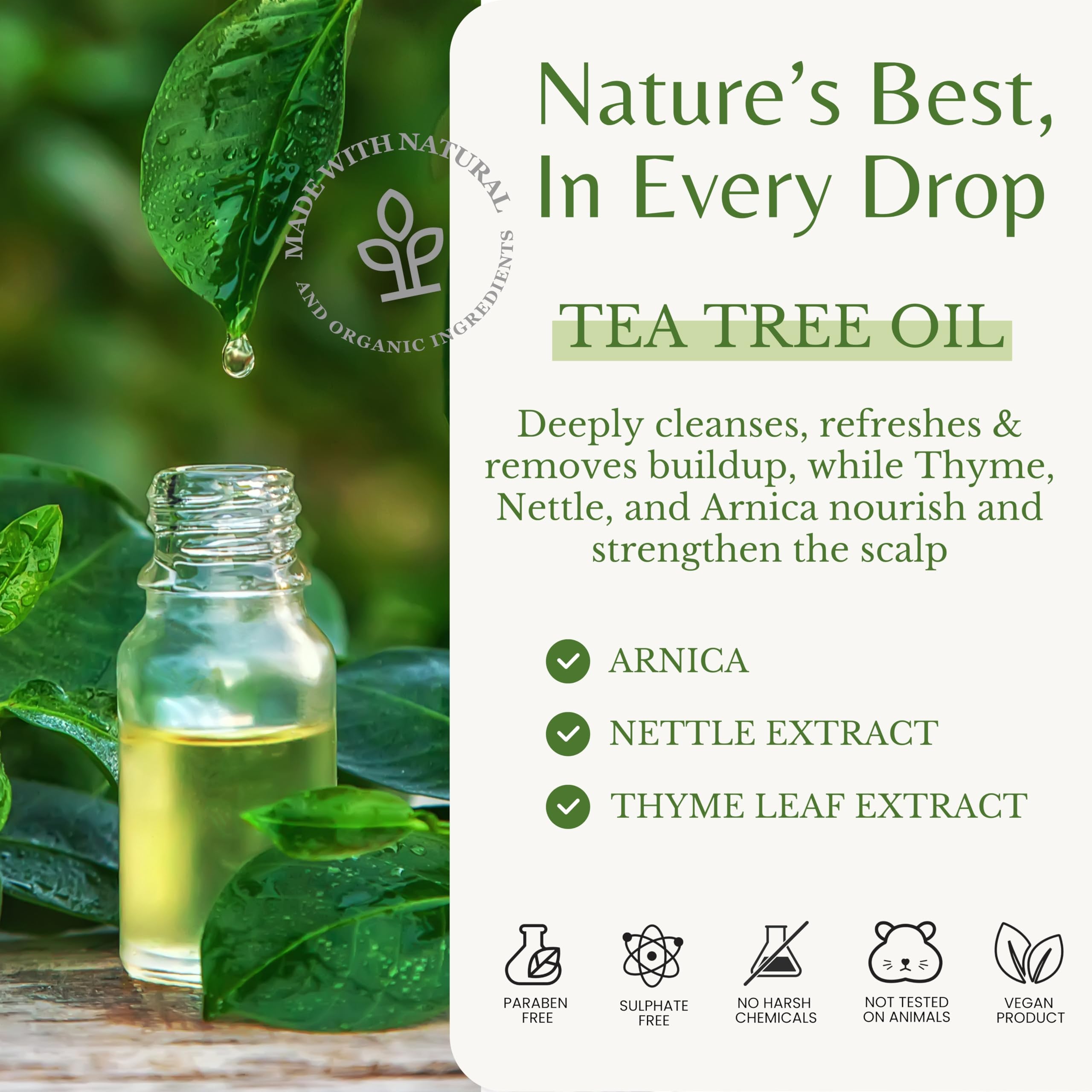 EDENIKA Tea Tree Shampoo & Conditioner Set – Deep Cleansing & Detoxifying, Invigorating, Soothes Itchy Scalp, Nourishes & Strengthens Hair – For All Hair Types, 16 fl oz Each