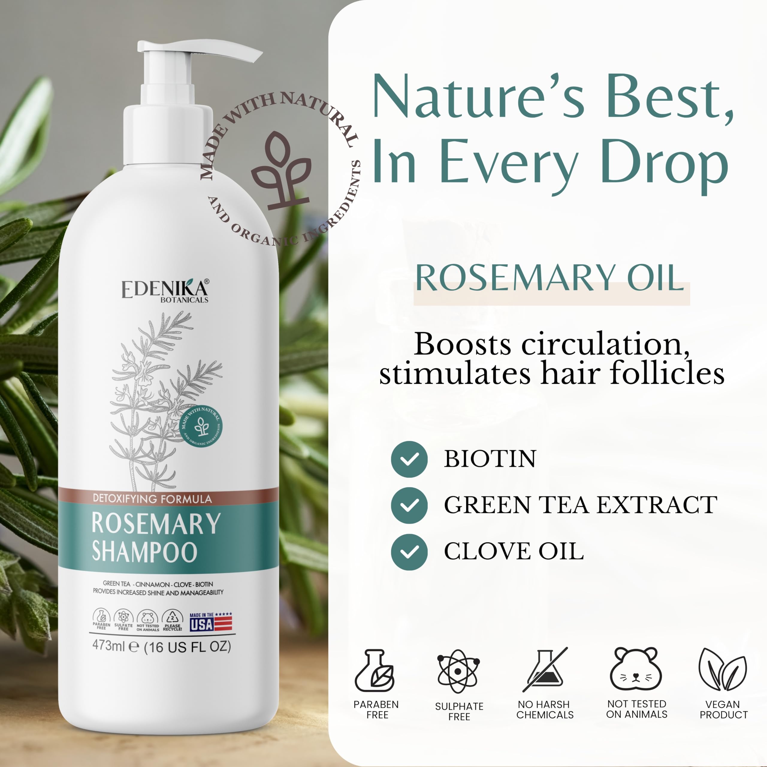 EDENIKA BOTANICALS Rosemary Shampoo with Biotin, Green Tea & Clove for Hair Strength & Anti-Hair Loss, Scalp Detox & Clarifying, Adds Volume & Shine – 16 fl oz