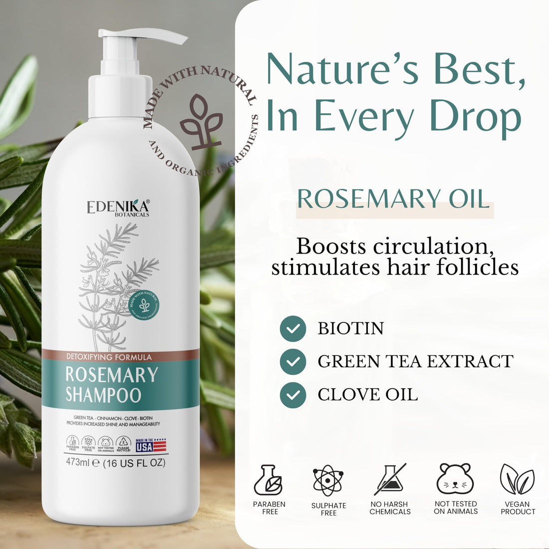 EDENIKA BOTANICALS Rosemary Shampoo with Biotin, Green Tea & Clove for Hair Strength & Anti-Hair Loss, Scalp Detox & Clarifying, Adds Volume & Shine – 16 fl oz