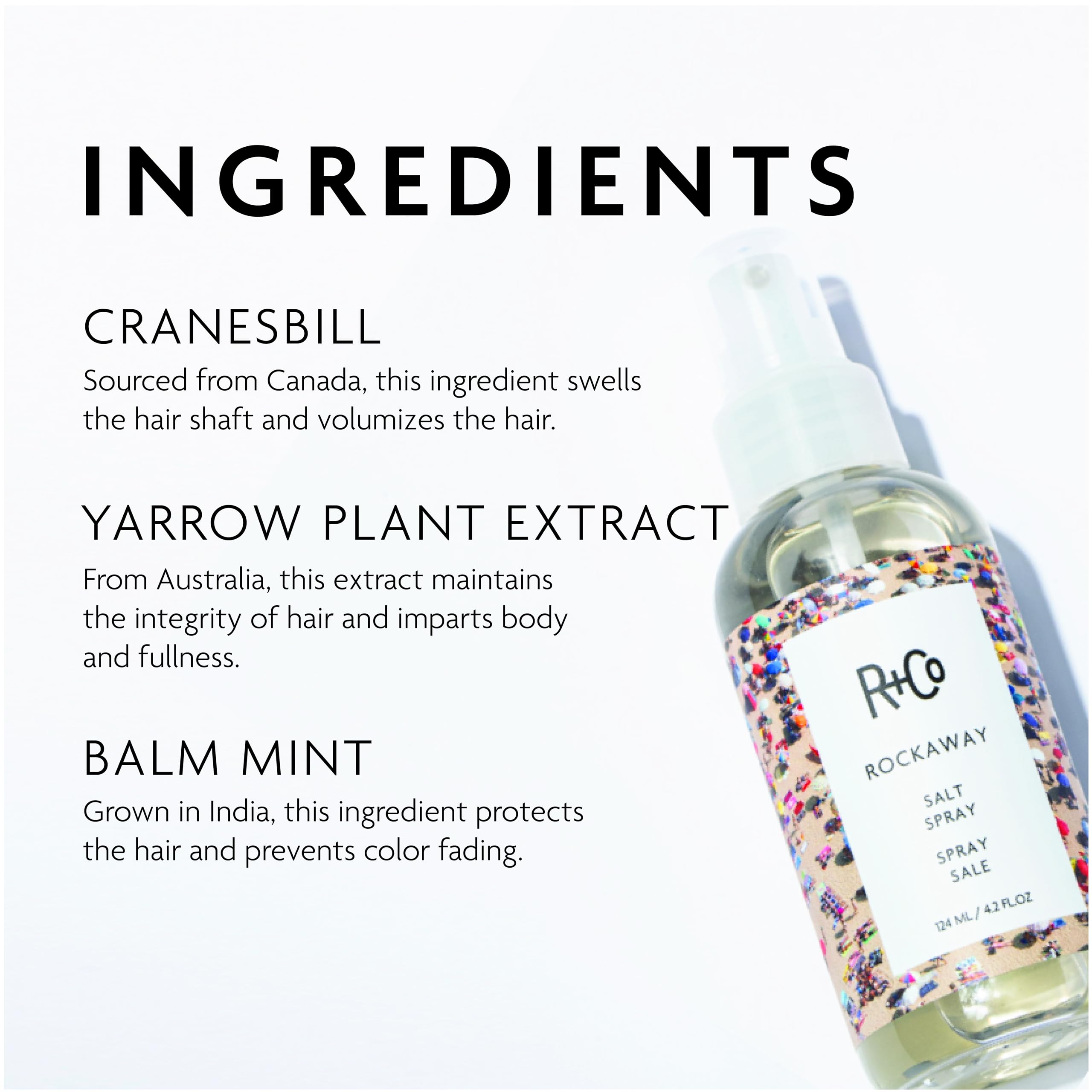 R+Co Rockaway Salt Spray, 4.2 Fl Oz