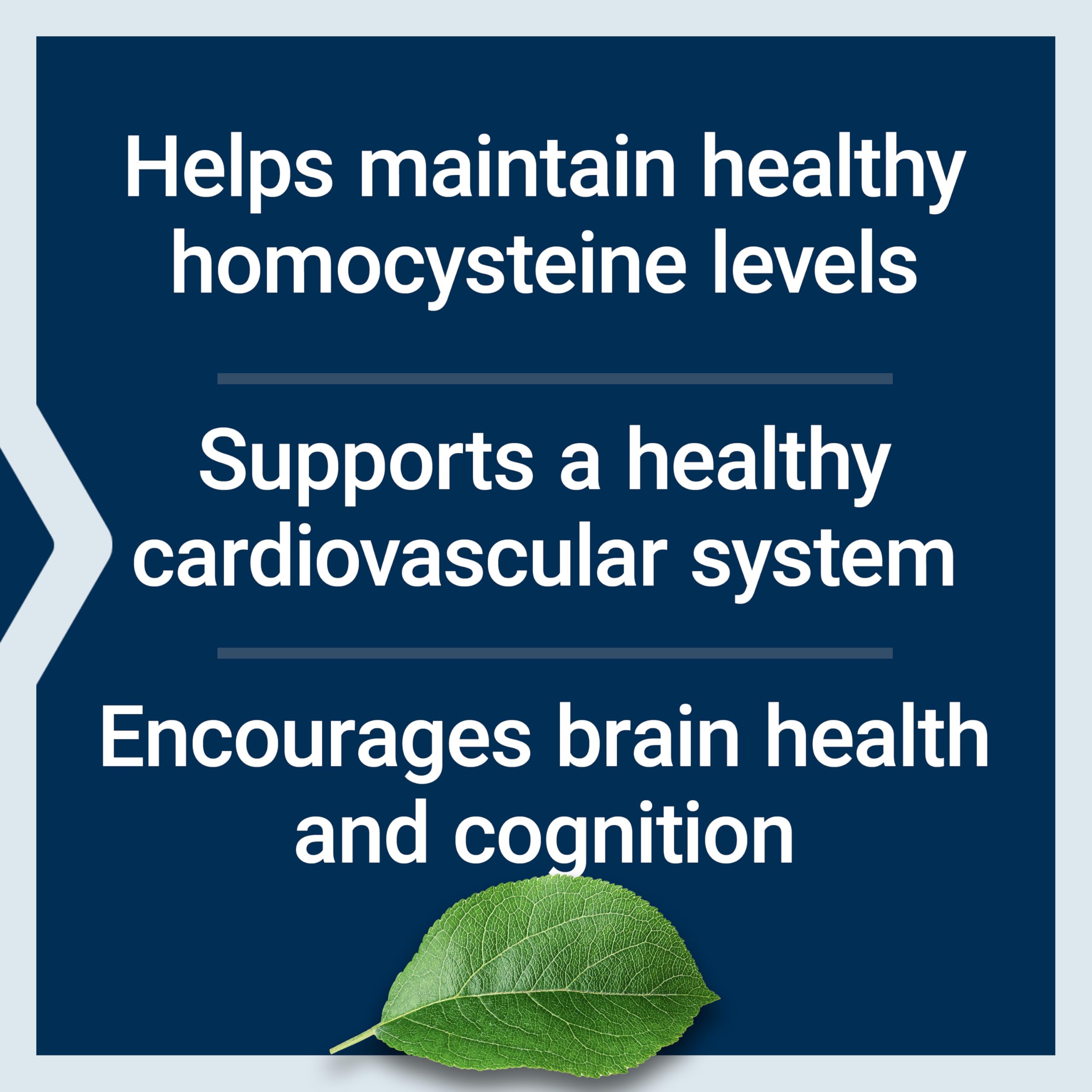 Life Extension Homocysteine Resist - For Heart & Brain, Cognitive Health Support Supplement – Vitamin B2, B6 & B12 + Folate - Once-Daily, Non-GMO, Gluten-Free - 60 Vegetarian Capsules