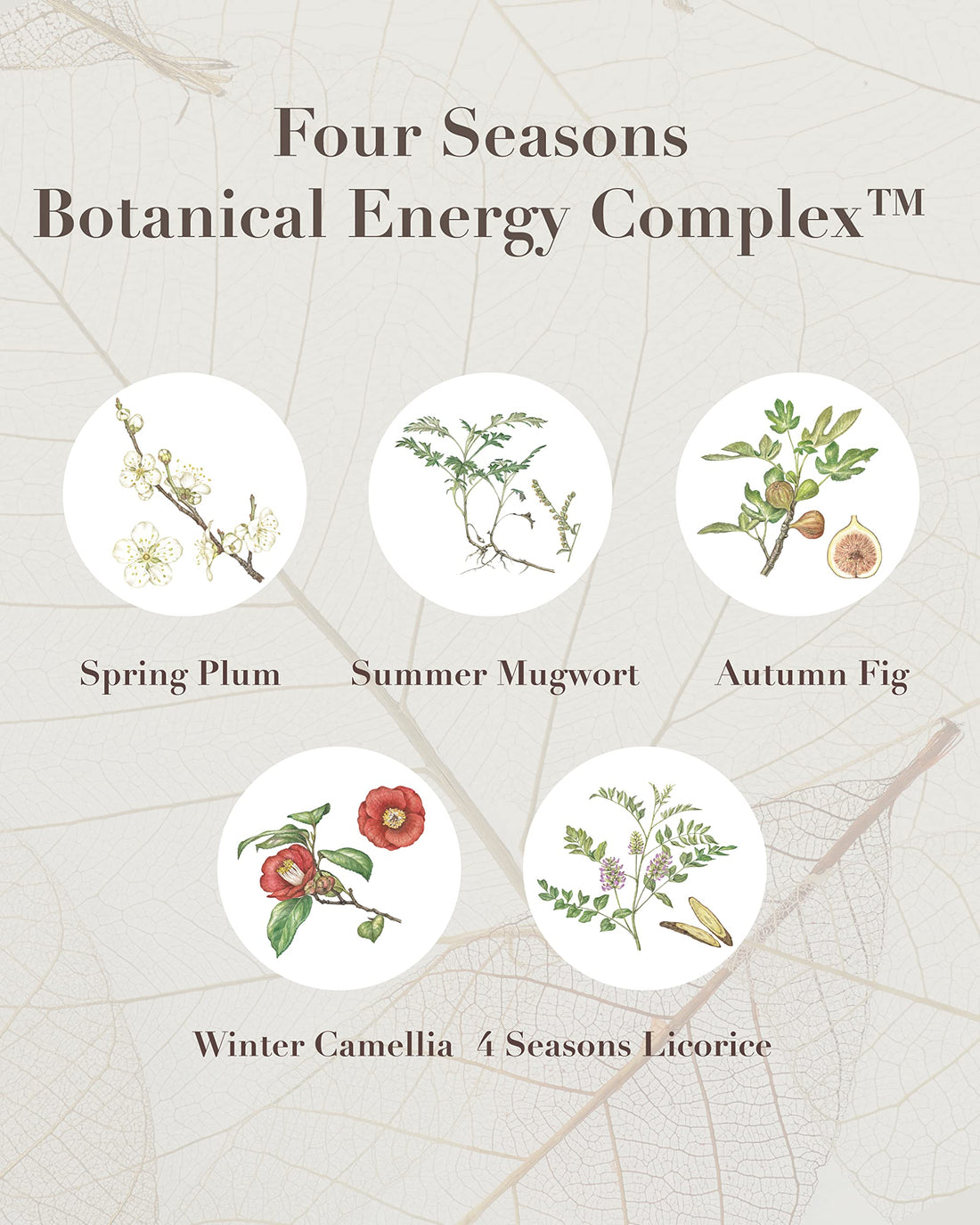Sooryehan THE SAGA OF SOO Botanical Energy Multi Stick (10 g / 0.35 Fl Oz) - Skin Care Balm by LG BEAUTY. Sensitive Skin.