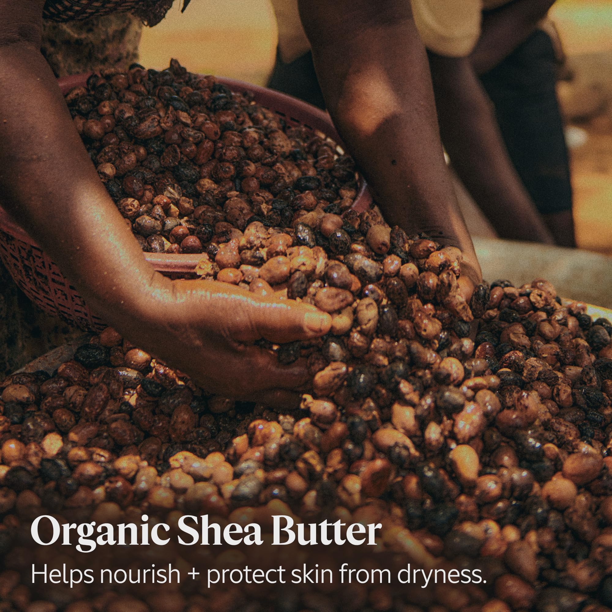 L'Occitane Extra-Gentle Lotion: Moisturizing | Comfort Skin | Fast-Absorbing Lotion | With 5% Organic Shea Butter | Fresh Scent | Vegan