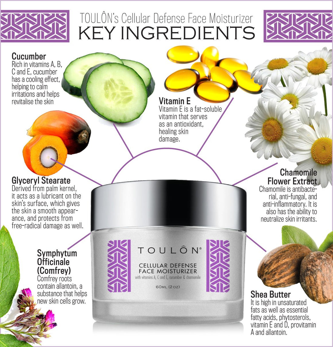 Antioxidant Moisturizer for Face with Vitamin A, C, E, Cucumber & Chamomile. Reduces Wrinkles and Fights Free Radical Damage.