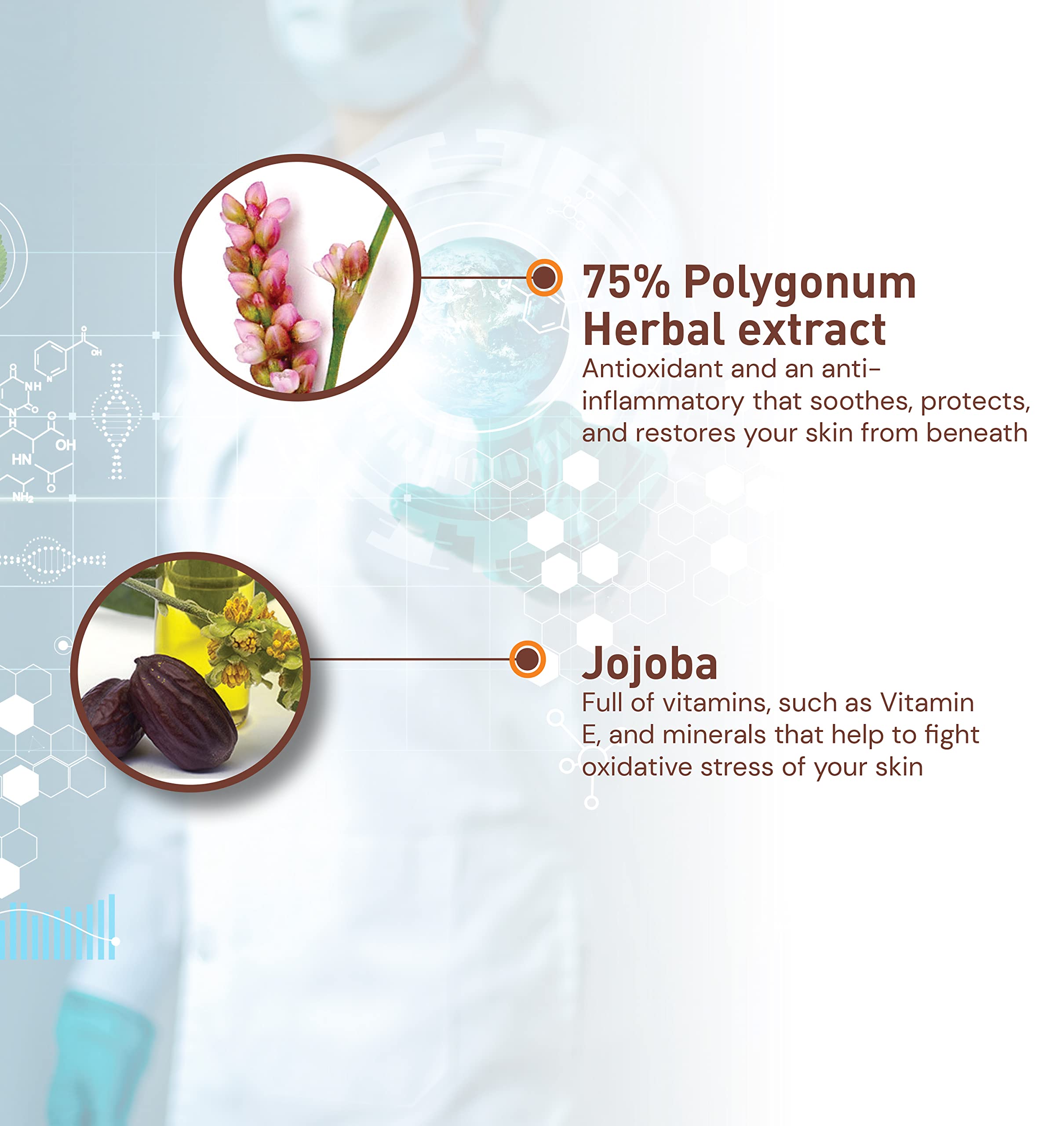 Moraz Day Cream for Normal to Oily Skin+ Pomegranate & Polygonum (1.7 oz. 50 ml)