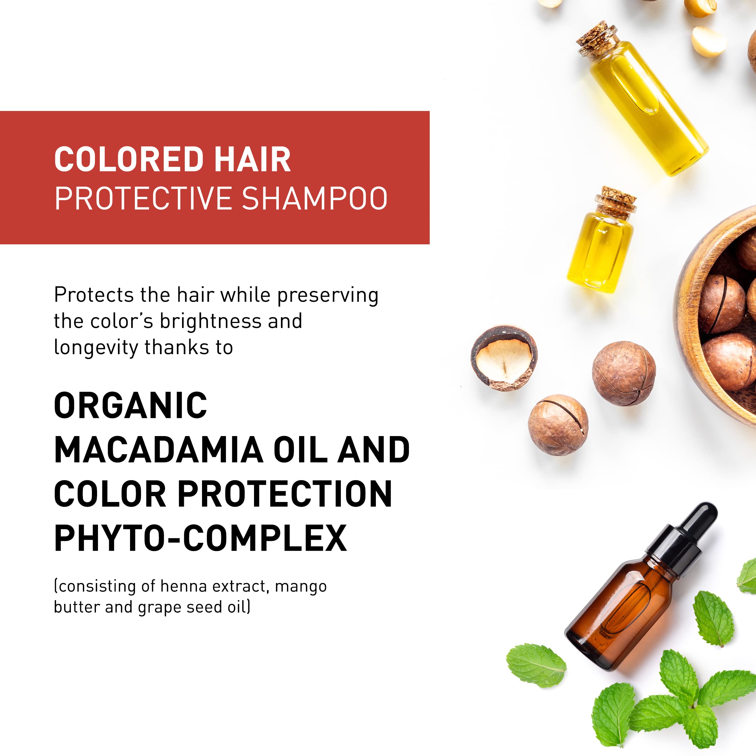 INSIGHT Clean Beauty Moisturizing Shampoo with Organic Macadamia Oil, Hydrating & Vegan, 13.5 fl oz