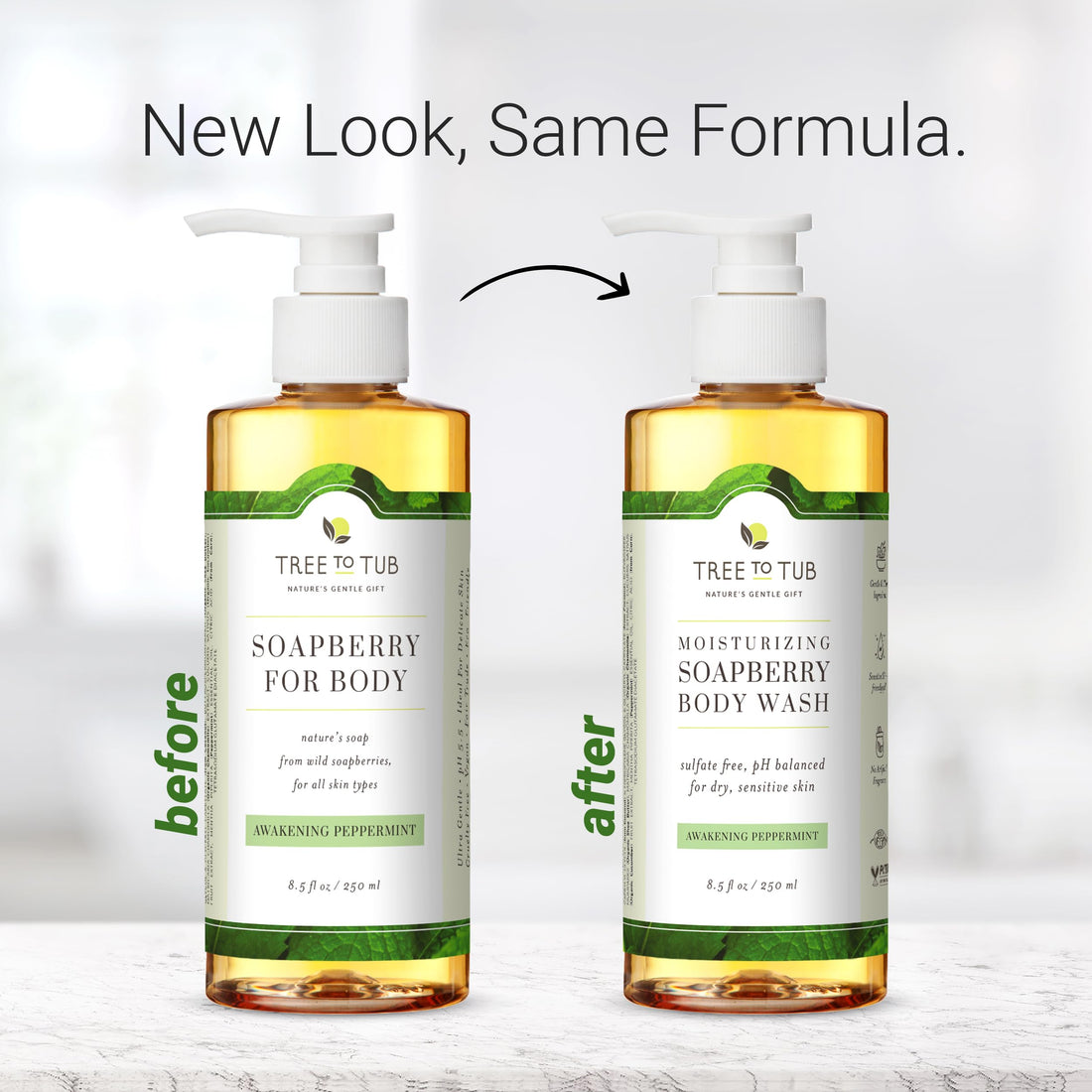 Organic Peppermint Body Wash for Oily Skin. The Only pH 5.5 Balanced Acne Body Wash for Sensitive Skin ââ‚¬â€œ Antibacterial & Antifungal Soap for All Skin Types, with Wild Soapberries 8.5 ozââ‚¬â€