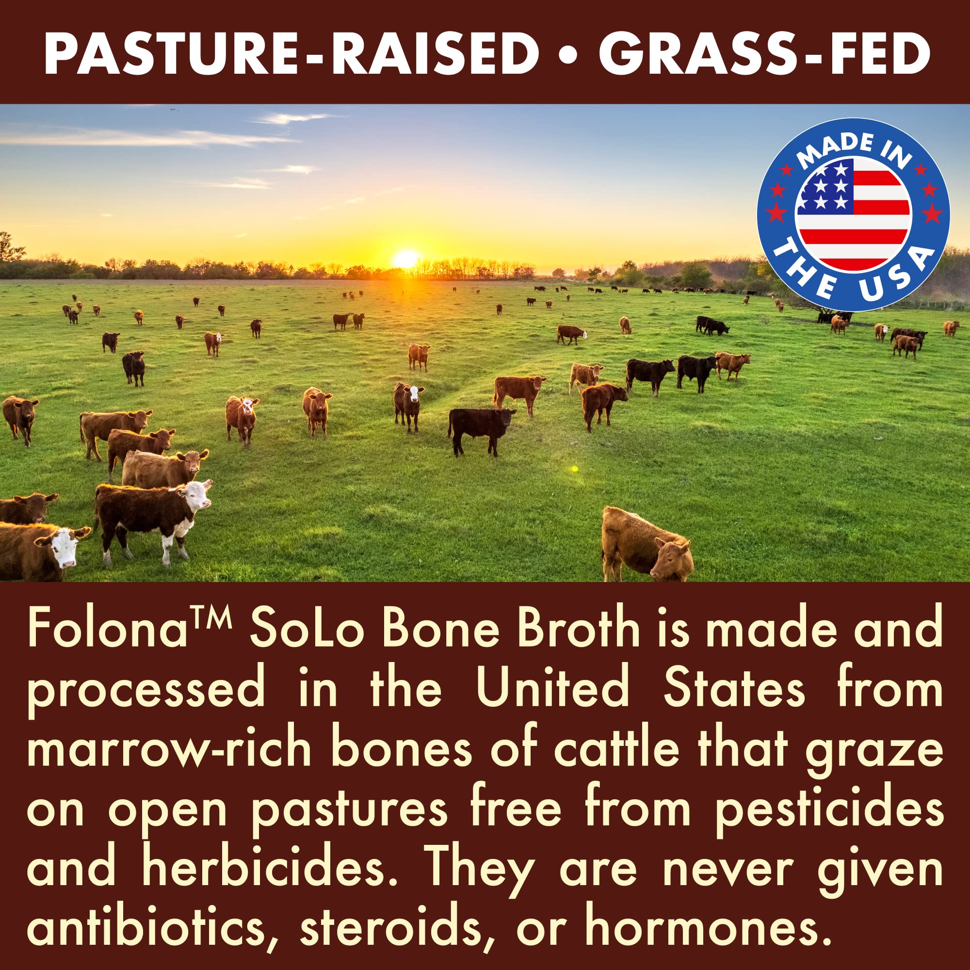 Solo Bone Broth Protein Collagen Powder Low Sodium, 16g Hydrolyzed Collagen Type I & III, for Healthy Skin, Nails, Hair, Joints & Digestion, Grass Fed, 1 lb (Bag - Net Wt. 1 lb. Powder)