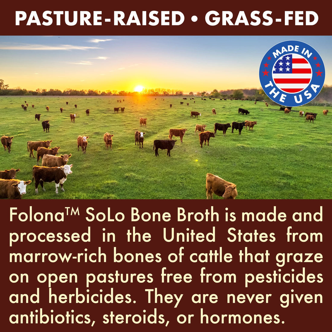 Solo Bone Broth Protein Collagen Powder Low Sodium, 16g Hydrolyzed Collagen Type I & III, for Healthy Skin, Nails, Hair, Joints & Digestion, Grass Fed, 1 lb (Bag - Net Wt. 1 lb. Powder)