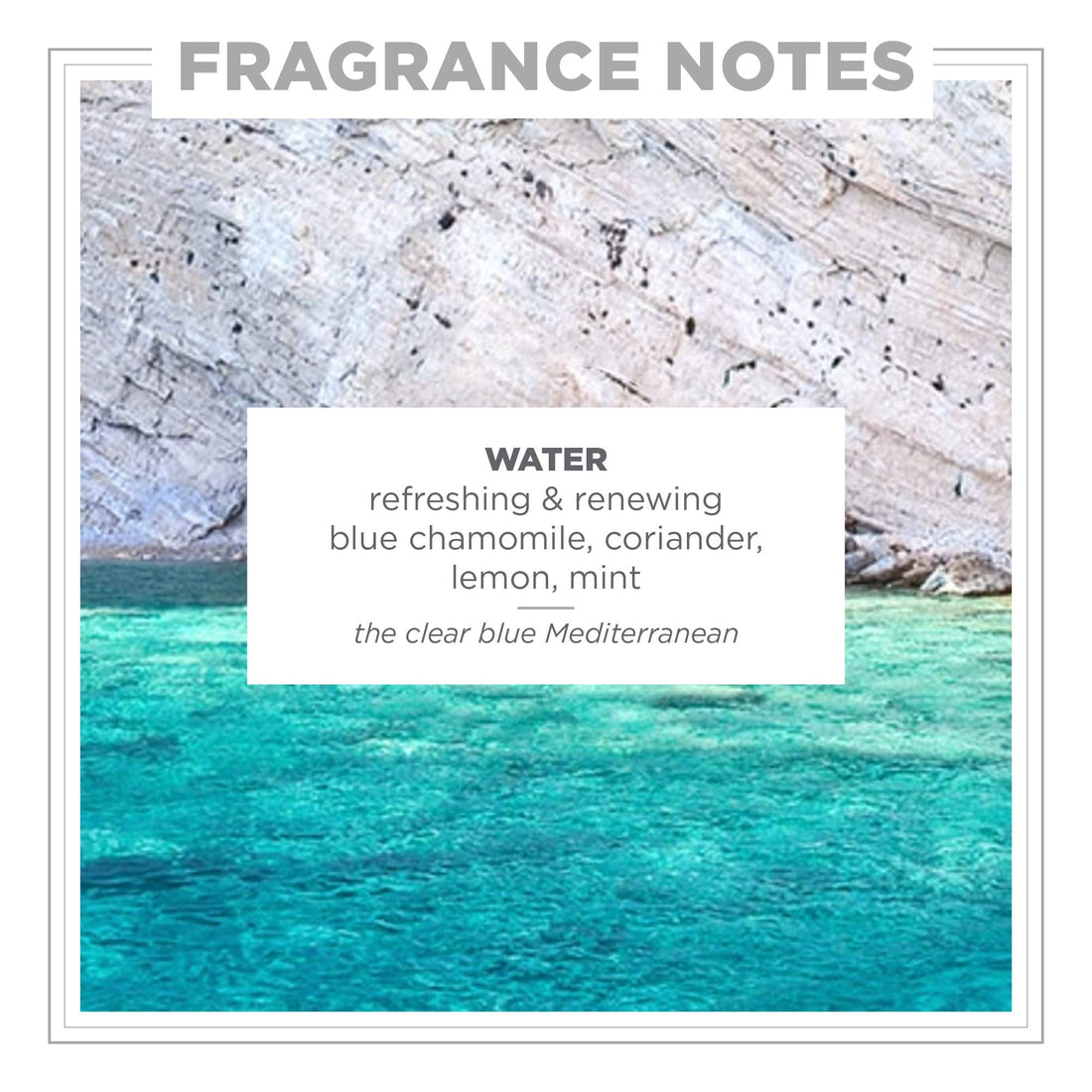 Zents Attar Fragrance Concentrate (Water Fragrance) | Roll-On Perfume & Aromatherapy | Long-Lasting Scent for Travel | Natural Essential Oils | .33 oz
