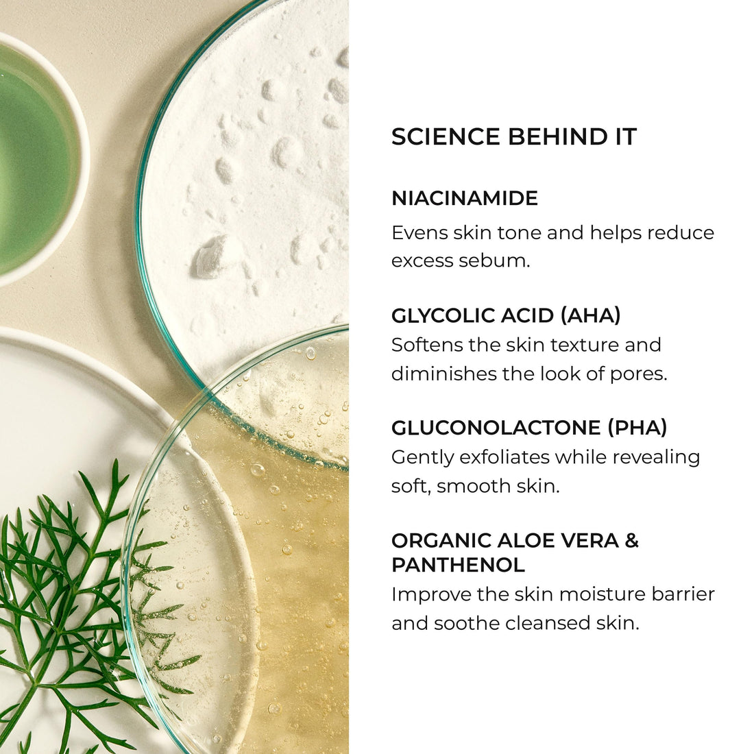 Natura Bisse Facial Cleansing Gel with AHA, 7.0 fl. oz.