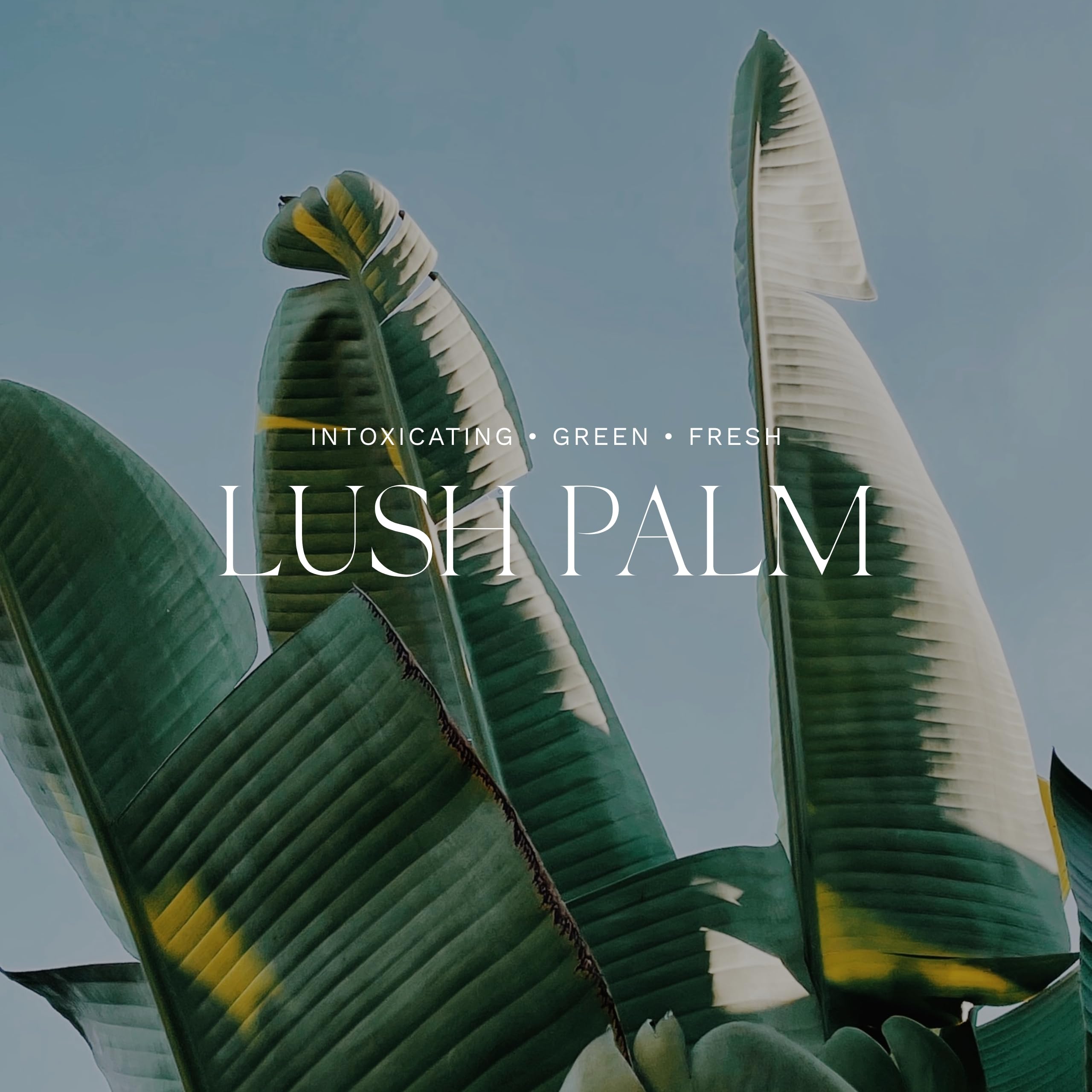 Antica Farmacista Lush Palm Body Moisturizer, 10 fl. oz.