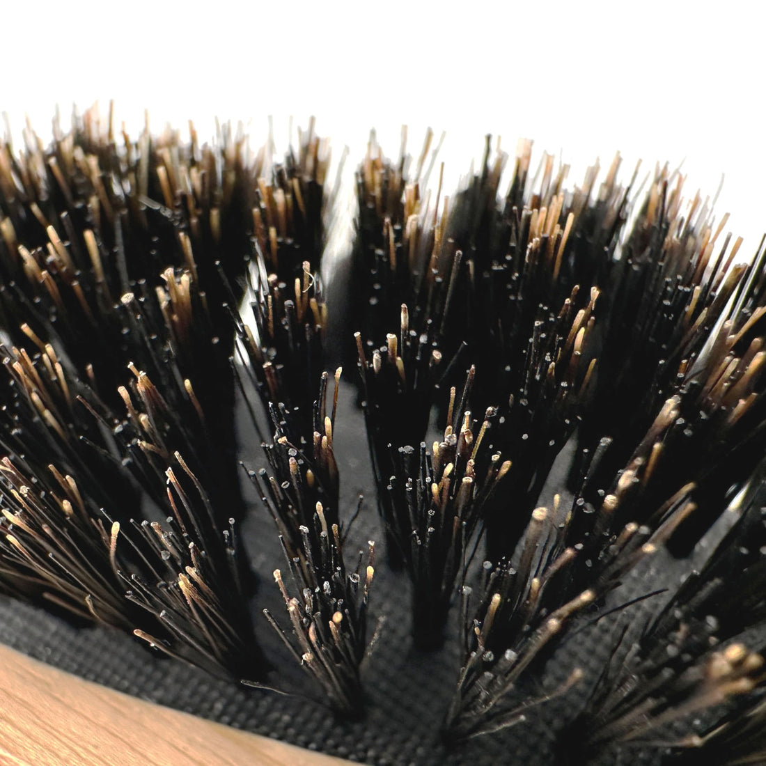 Phillips Brush Gentlemens’ Quarters Captain Oval Cushion Boar Bristle Hair Brush