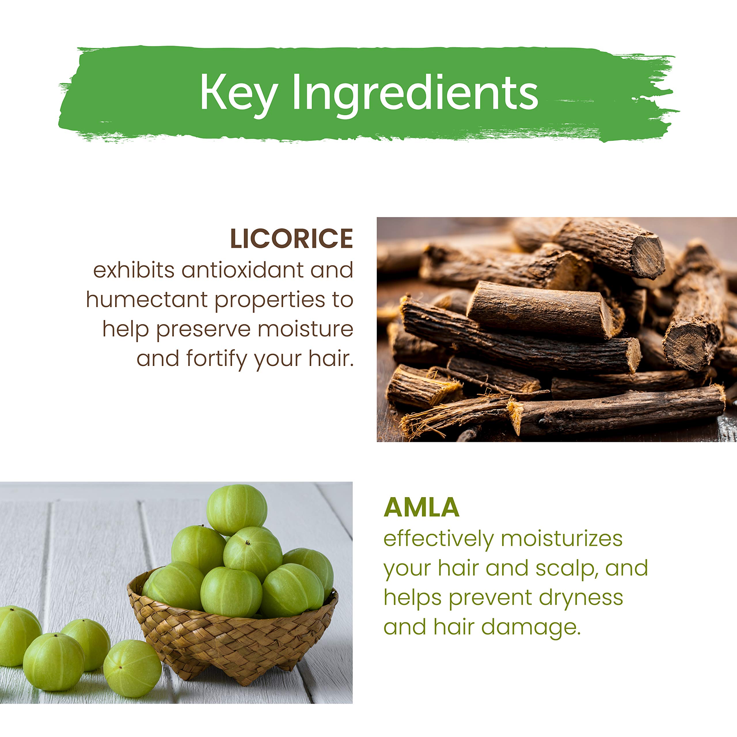 Himalaya Gentle Daily Care Protein Shampoo, 13.53 Ounce