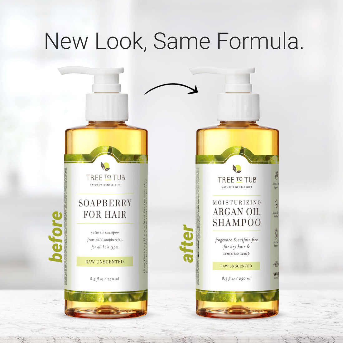 Tree to Tub Fragrance Free Shampoo for Dry & Sensitive Scalp - Gentle Unscented Hydrating Hair Shampoo for Women & Men, Moisturizing Sulfate Free Shampoo w/Organic Argan Oi, All Natural Aloe Vera