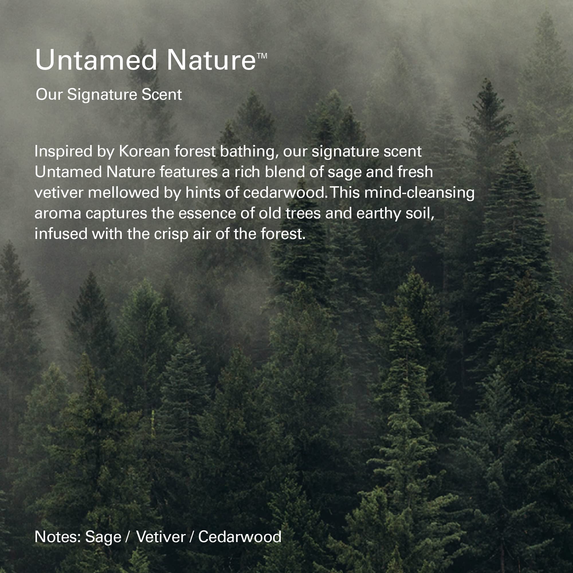 Melixir Vegan Hand Cream #Untamed Nature - Calming Forest Scented, Nourishes & Deeply Hydrates Dry Hands with Shea Butter, Non-Sticky & Velvety Finish, Travel Size, Korean Skincare (1.7 fl.oz.)