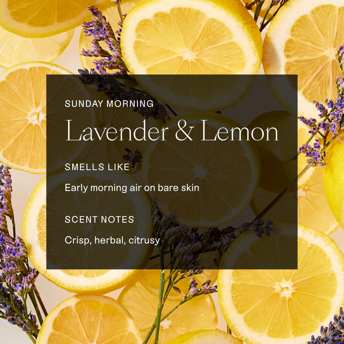 Each & Every Aluminum Free Deodorant for Women & Men, Lavender & Lemon + Rose & Vanilla - All Natural Deodorant for Sensitive Skin, EWG Verified - Clean, Baking Soda-Free, Plant-Based - 2.5oz, 2 Pack