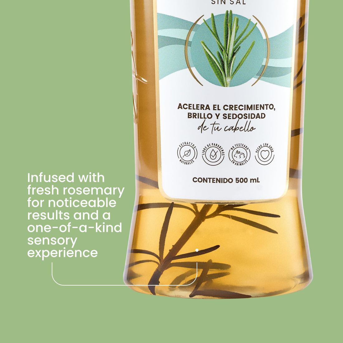 ANYELUZ Kit Duo Rosemary Shampoo + Mini Travel Size, With Onion Extract, Hyaluronic Acid and Rosemary